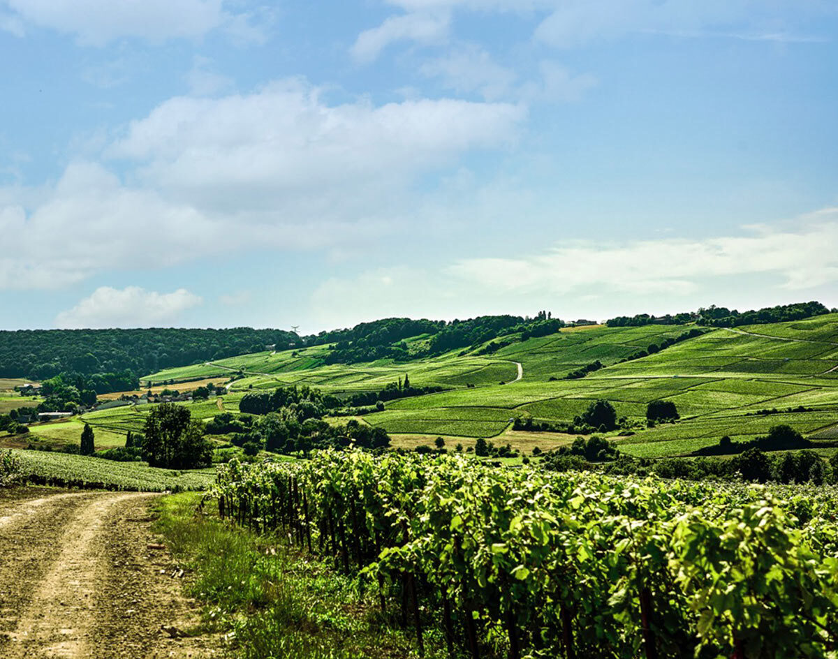 lmdc24_orban_site_1_terroir
