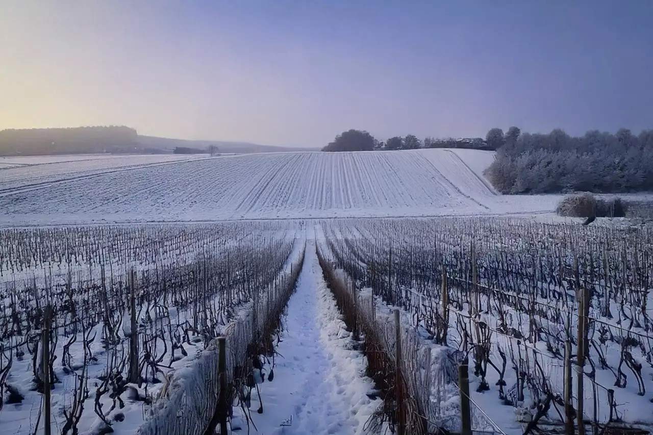 champagne_snow33